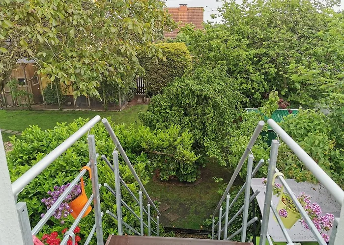 Pipistrello Mit Minizoo Wursterheide