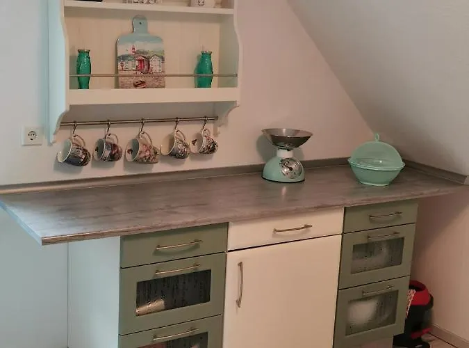 Pipistrello Mit Minizoo